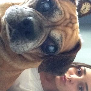 Meet your Posher, Erin